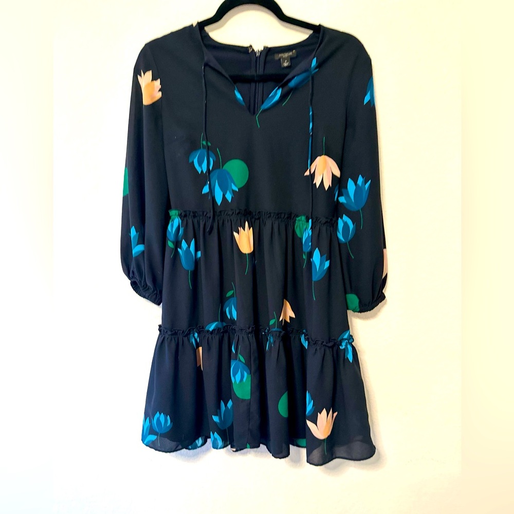 Ann Taylor Floral chiffon dress size 0P